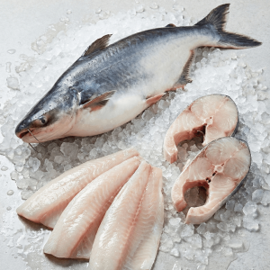 Basa (Pangasius bocourti)