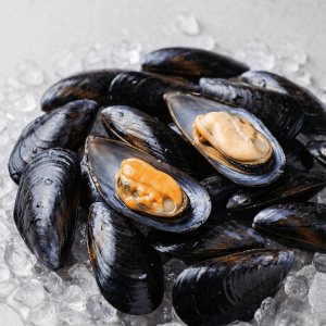 Black Mussel (Mytilus galloprovincialis)