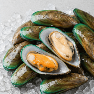 Green-Lipped Mussel (Perna canaliculus)