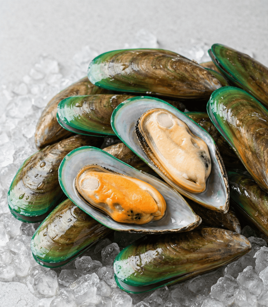 Green-Lipped Mussel (Perna canaliculus) | Wholesale & Export | Global ...