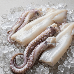 Giant Squid (Humboldt Squid)