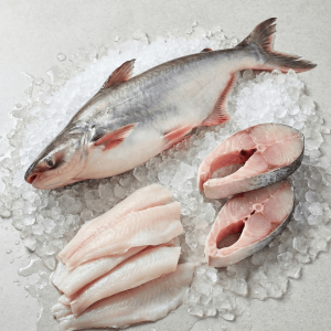 Pangasius (Pangasianodon hypophthalmus)