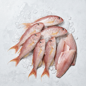 Threadfin Bream (Nemipterus spp.)