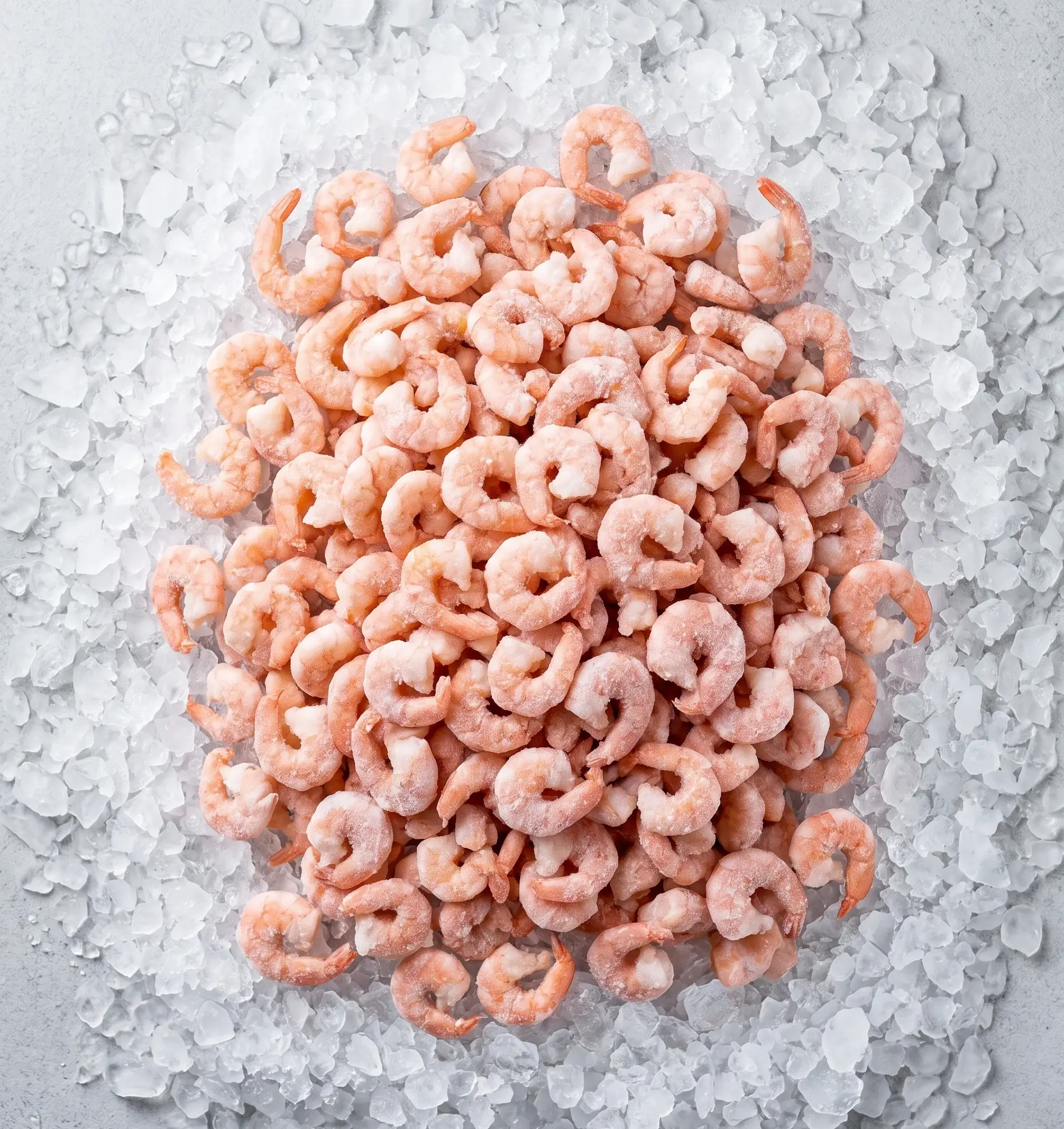 Vannamei (Whiteleg) Shrimp (Litopenaeus vannamei)