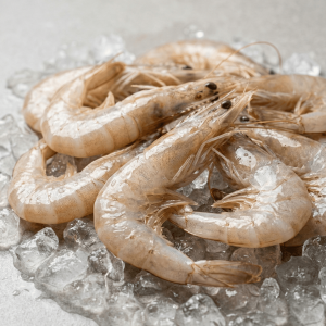 Vannamei (Whiteleg) Shrimp (Litopenaeus vannamei)
